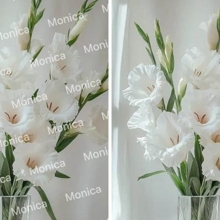 AI that remove watermarks from photos or videos